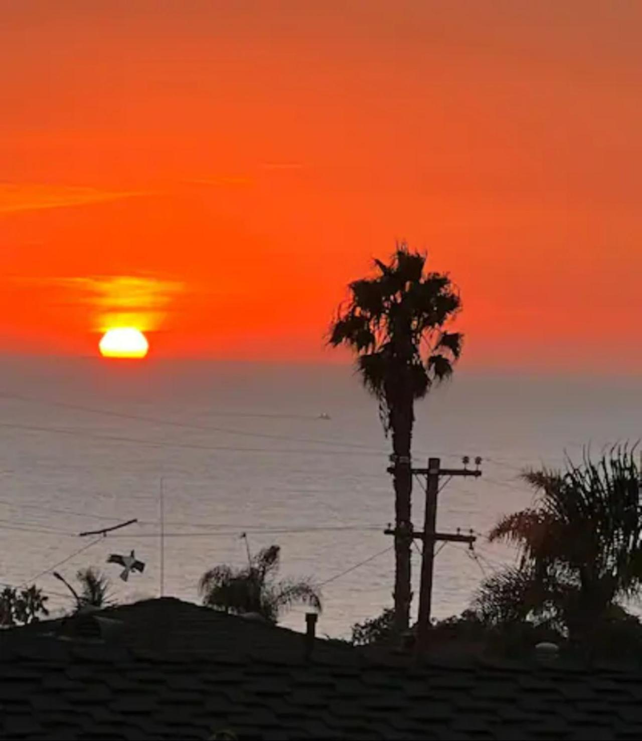 Contemporary Ocean Sunset Views With Firepit Pt Loma Close To Plnu 圣地亚哥 外观 照片